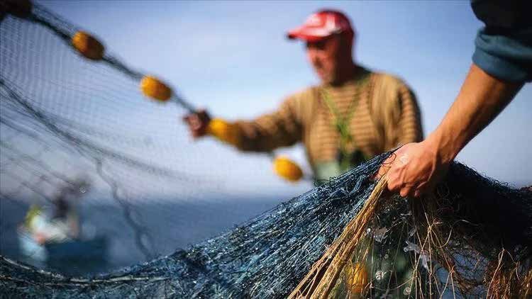 Boreas Sea Food Solutions