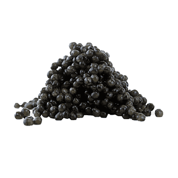 Osetra Caviar